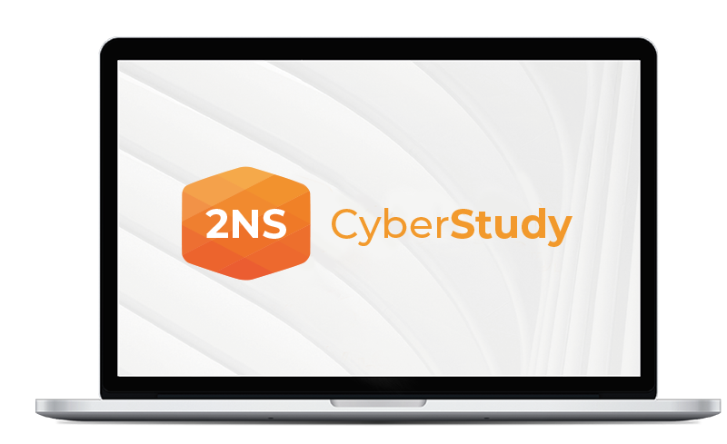 2NS Cyber Study Logo